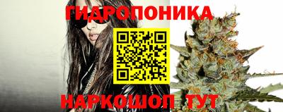 бошки Краснокаменск