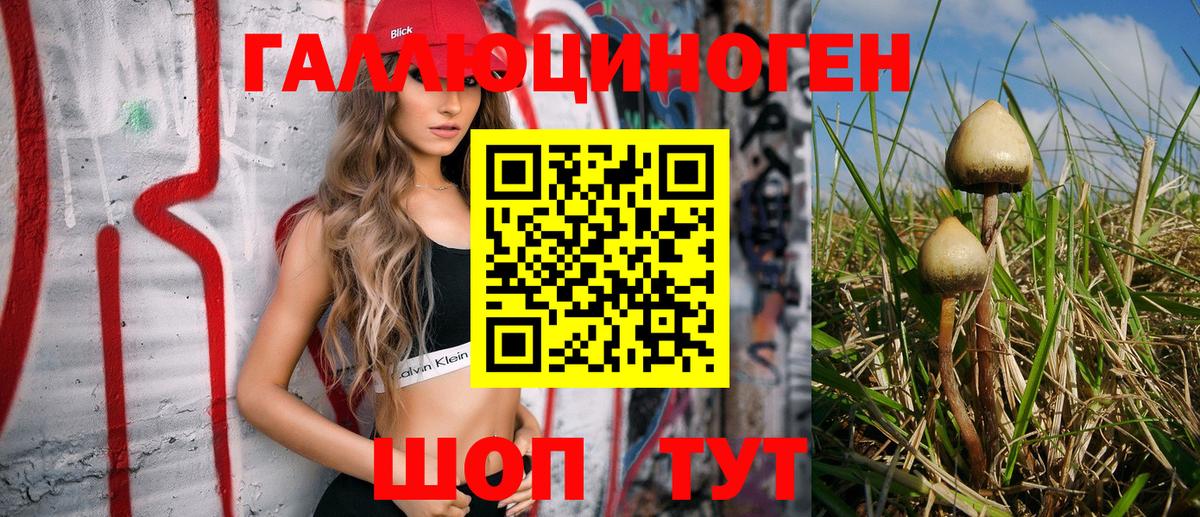 Псилоцибиновые грибы Psilocybe Ирбит