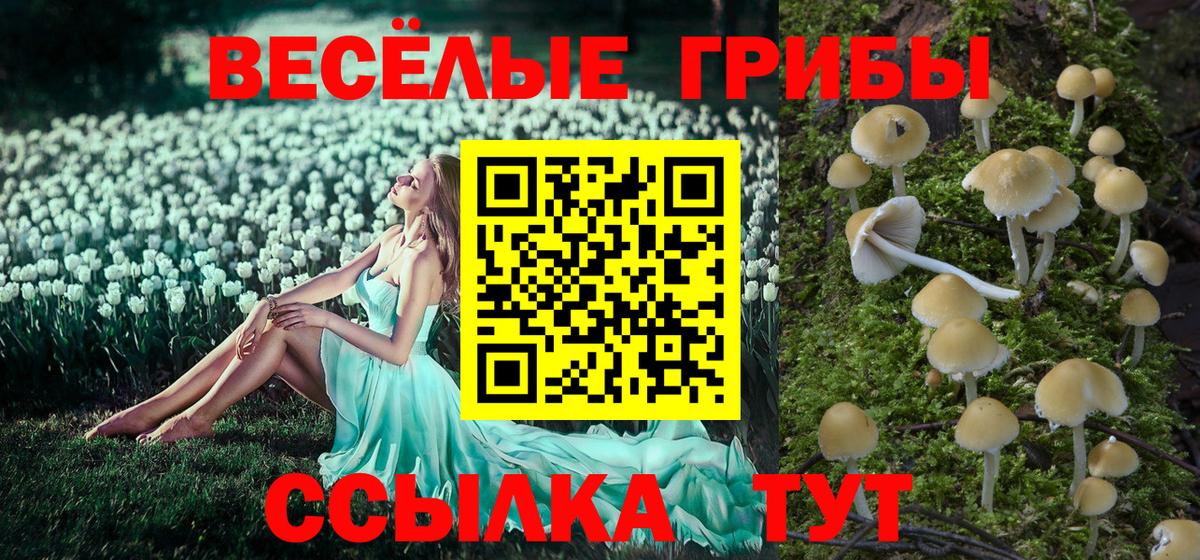 Ирбит  продажа наркотиков  Галлюциногенные грибы мухоморы  Вход с VPN  Галлюциногенные грибы GOLDEN TEACHER 
